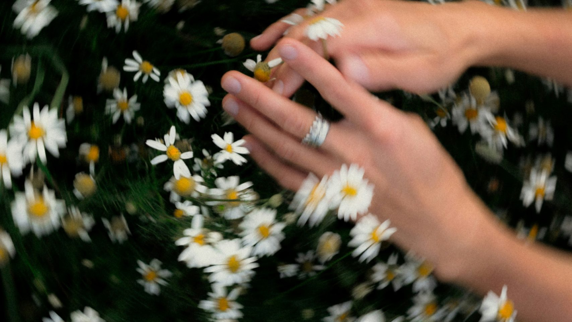 klara-kulikova-tp_EnRfjS_Q-unsplash